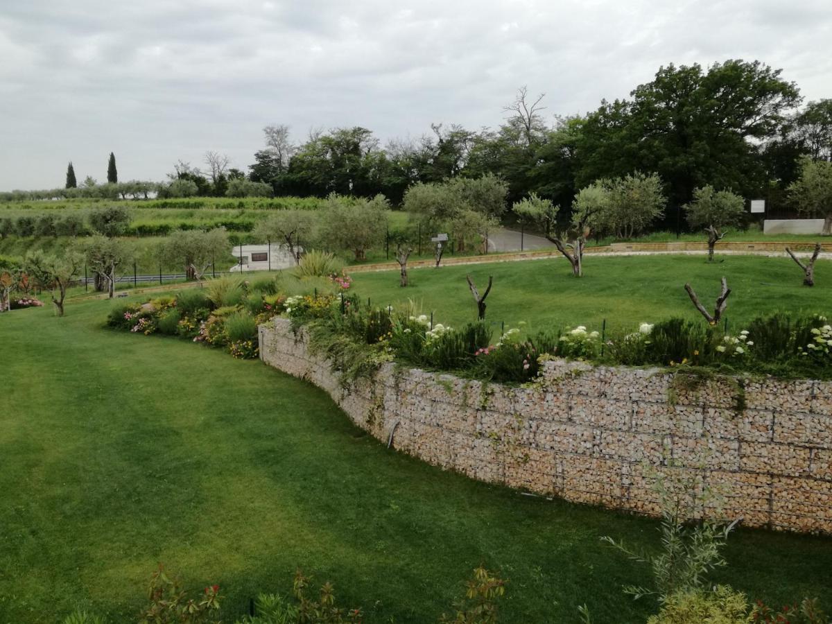 Agriturismo La Rondinella 라찌제 외부 사진