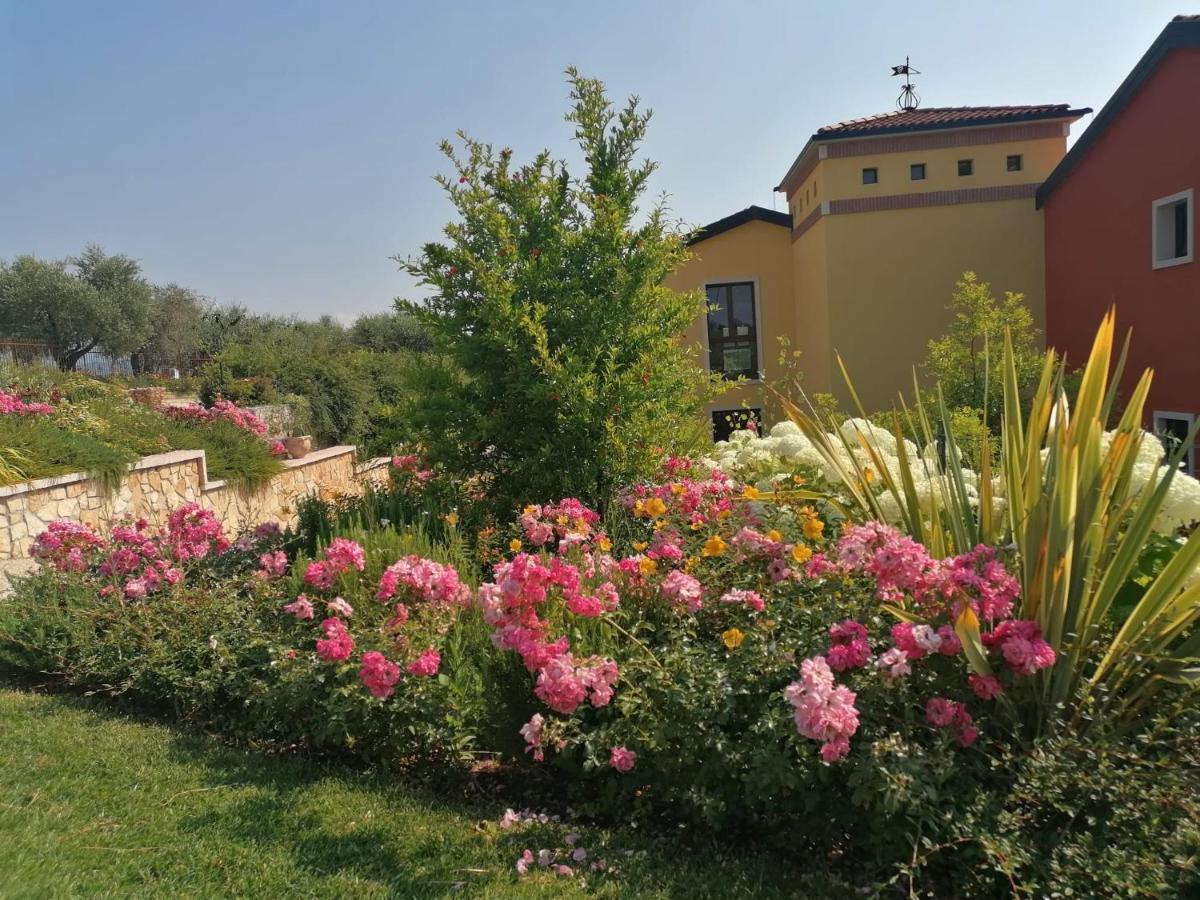Agriturismo La Rondinella 라찌제 외부 사진